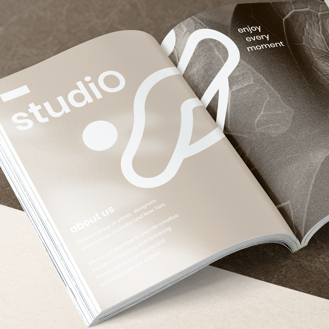Diseño Manuales de Usuario (Hasta 20 Planas)