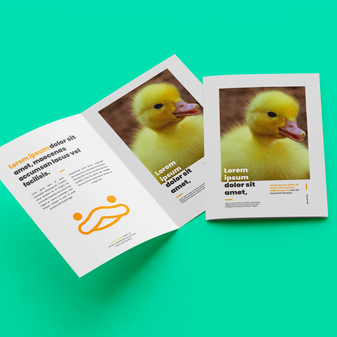 Diseño Díptico Simple (4 Planas)