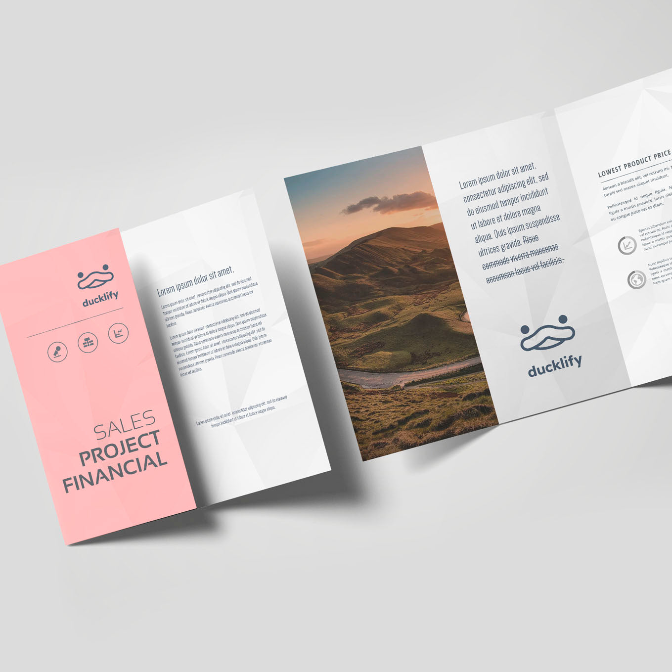 Diseño Tríptico (6 Planas)