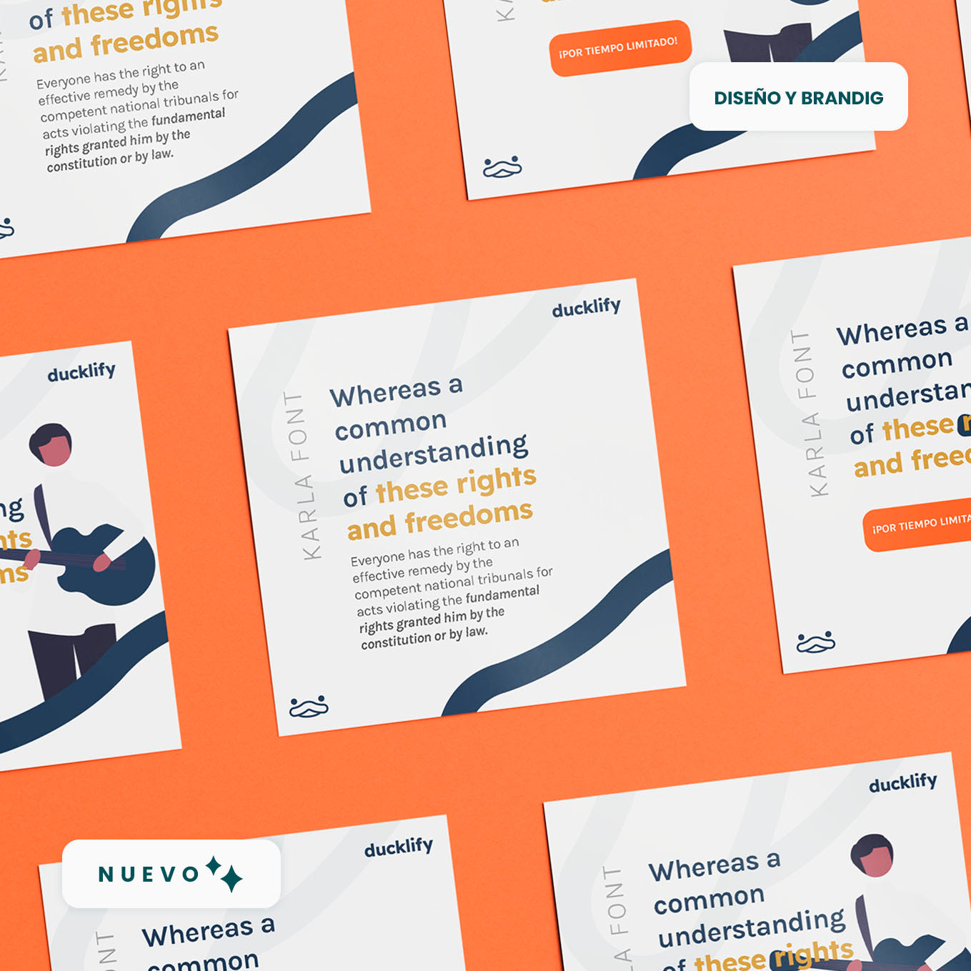 Creación de Grilla de Contenido